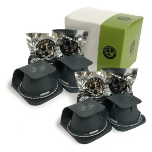 Nattaro Scout ® Pack Mixto 4x4- Control De Chinches